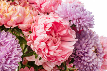 pink flowers in the vase