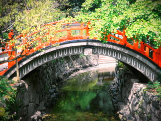 下賀茂神社の赤い橋と青紅葉