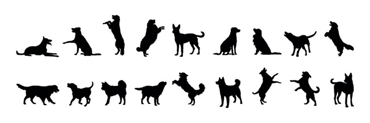 Obraz premium Group of dogs various poses vector silhouettes collection.
