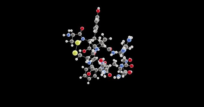 Vasopressin molecule, rotating 3D model of antidiuretic hormone, looped video on a black background