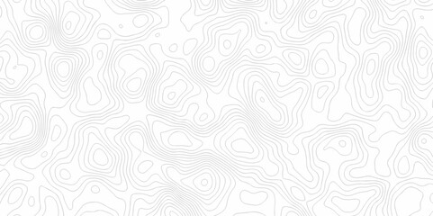Abstract background with a wave grid map and topography map and seamless pattern with lines White wave paper curved reliefs abstract background, Abstract topographic contours map background.