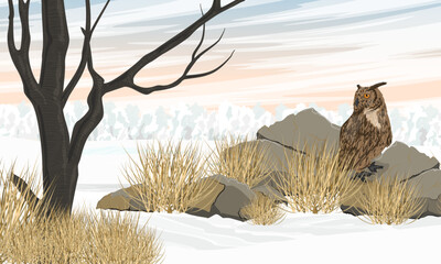 Eagle owl sits on a large stone in a winter field. Wild bird of prey. Realistic vector landscape