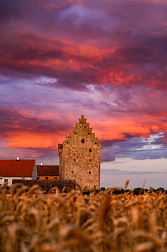 Glimmingehus Sweden, well-preserved medieval castle of Scandinavia with cornfield in the foreground and sunset with sky blushing on the clouds, Hammenh&ouml;g, Sweden
