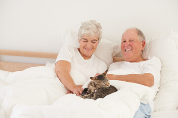 Senior couple, bed and cat for smile, embrace and love in morning for bonding and cuddle. Mature man, woman and kitty pet, happy and retirement to enjoy marriage and old people in bedroom at home