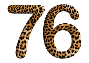 The shape of the number 76 is made of leopard fur or skin isolated on transparent background. Suitable for birthday, anniversary and Memorial Day templates