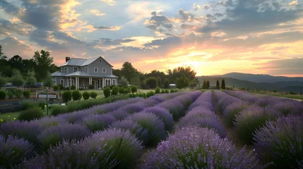 Gartenposter Lavender Flowers © Cybonix