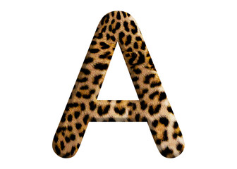 Letter A shape made of leopard fur or skin, isolated on PNG transparent background, suitable for template design