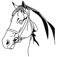 horse head vector