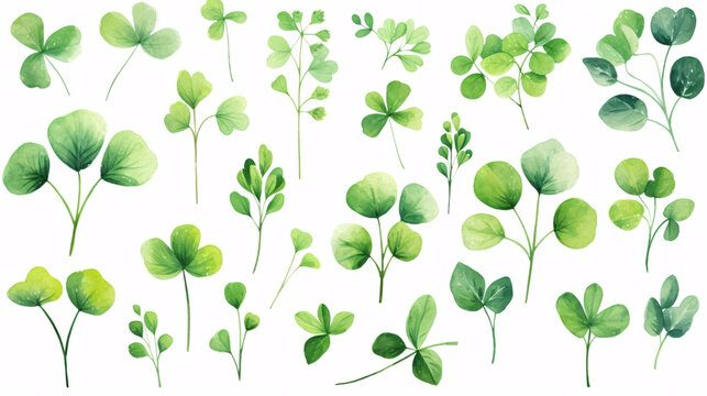 Watercolor set of green leaves isolated on white background.