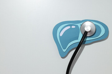 Paper liver mockup and stethoscope on white background, space for text