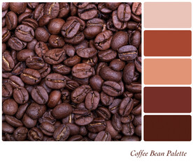 Coffee bean background in a colour palette, with complimentary colour swatches. - 741333884
