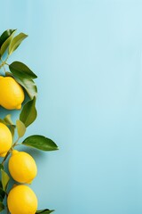 lemons on a blue background