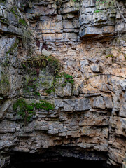 Höhle im Eisiger Loch