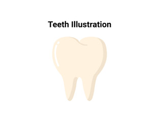 Teeth flat illustration. Dentistry and orthodontics vector illustration. Dental clinic services, stomatology, dentistry, orthodontics, oral health care and hygiene vector.