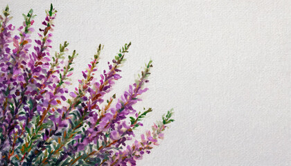 Oil painting of a heather flower pure white background canvas, copyspace on a side