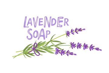 Lavender soap label. Label for handmade lavender soap Vector flat Illustration for home made organic cosmetic with lavender medical flowers. Herbal cosmetics. Label in hand drawn style.