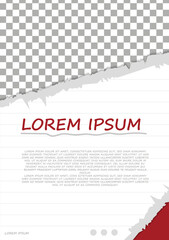 template torn paper background brochure