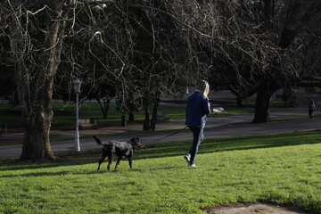 person running with dog