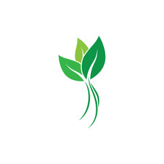 Green leaf illustration nature logo flat design template