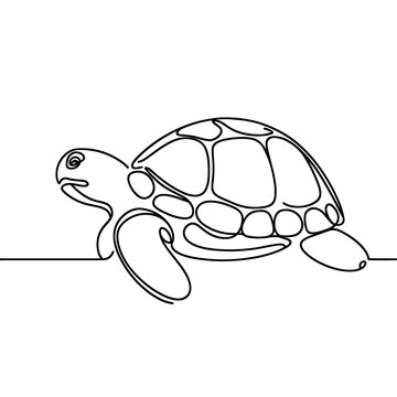 Turtle, line drawing style