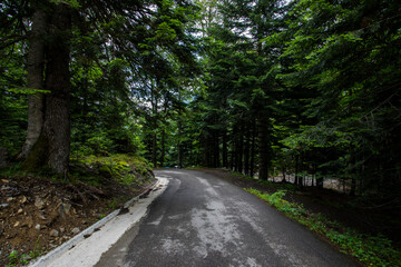 Summer in Uelhs Deth Joeu waterfall, Val D Aran, Spain