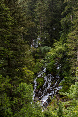 Summer in Uelhs Deth Joeu waterfall, Val D Aran, Spain