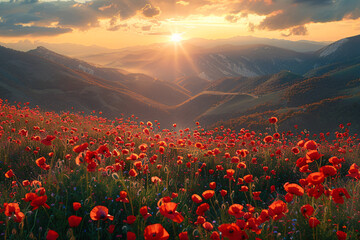 sunrise over mountains covered with red flowers and poppies - obrazy, fototapety, plakaty