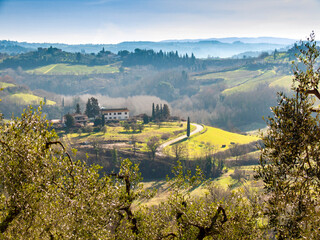 Itala, Toscana, la campagna di Certaldo.