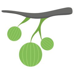 Gooseberries flat icon design 