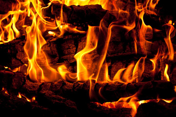 Intense blaze engulfing firewood in a roaring campfire