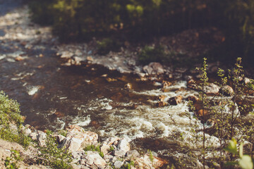 A river winding through a rocky terrain with trees lining the banks