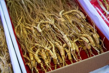 Close-up of Northeastern Chinese ginseng sold in the market