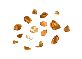 Dry Apricot Kernels and Nutshell Isolated on White Background