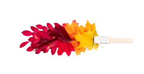 Paint brush autumn concept with leaves flat lay