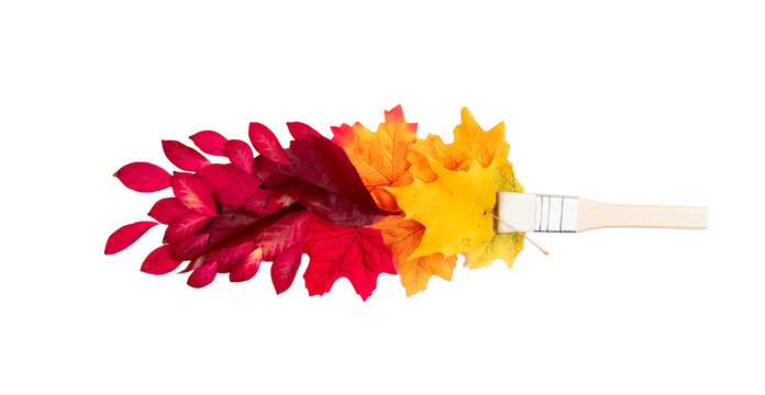 Paint brush autumn concept with leaves flat lay