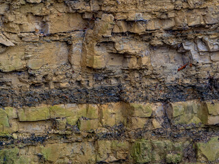 Gesteinsschichten im Muschelkalk