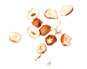 Nut Kernels Crumbs, Broken Hazelnuts Pile Isolated, Healthy Organic Crush Nuts Group, Hazel Nut Pieces