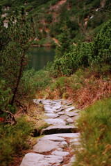 Authentic Path Among the Mountains Leading to the Forest and Alpine Lakes