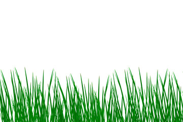 Realistic green grass border design isolated on transparent background