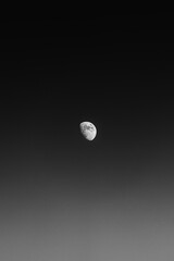 half moon in the night sky black and white