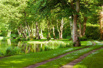 Hiking path at water pond, lake in Albury, Guildford, Surrey, England, UK