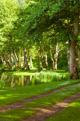 Hiking path at water pond, lake in Albury, Guildford, Surrey, England, UK
