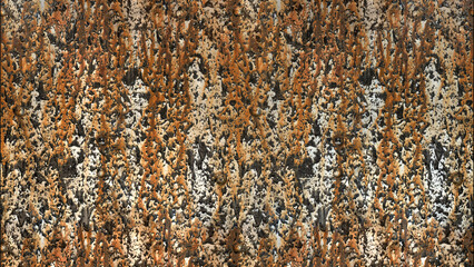 Tar Covered Metal Rust Background Texture 4k