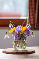 Bouquet of purple crocus in vase. Spring flowers in a vase. - 741379680