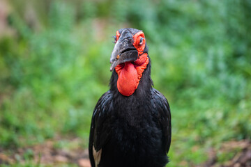 A day at the zoo so close to the animals and so far apart