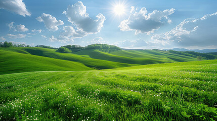 Fototapeta na wymiar Lush green grass on field and hill 
