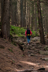 Fototapeta premium a girl in sportswear with a backpack on her shoulders and walks along a hiking trail in the forest.