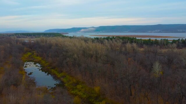 Autumn Overlook Aerial Views of Volga River, Forest, and the Grushinsky Festival Meadow in Warm Glow. Nature of Russia view from a drone in autumn