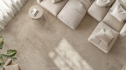 Soft beige carpet and sofa furnish a modern, stylish minimalistic living room, seen from above
