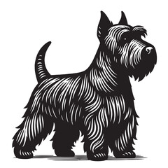 Black Scotch Terrier dog. Beautiful vintage engraving illustration, emblem, icon, logo, sketch. Black lines. cut out, png	